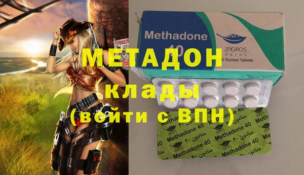 индика Алексин