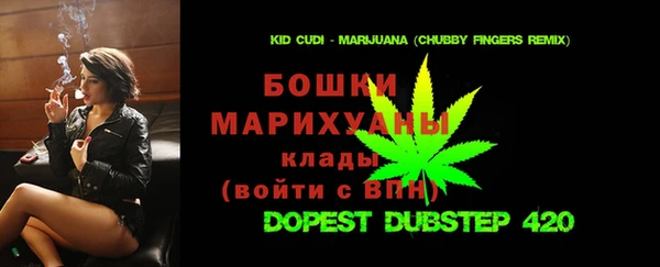 индика Алексин