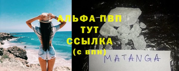 индика Алексин