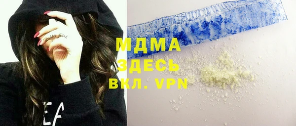 индика Алексин